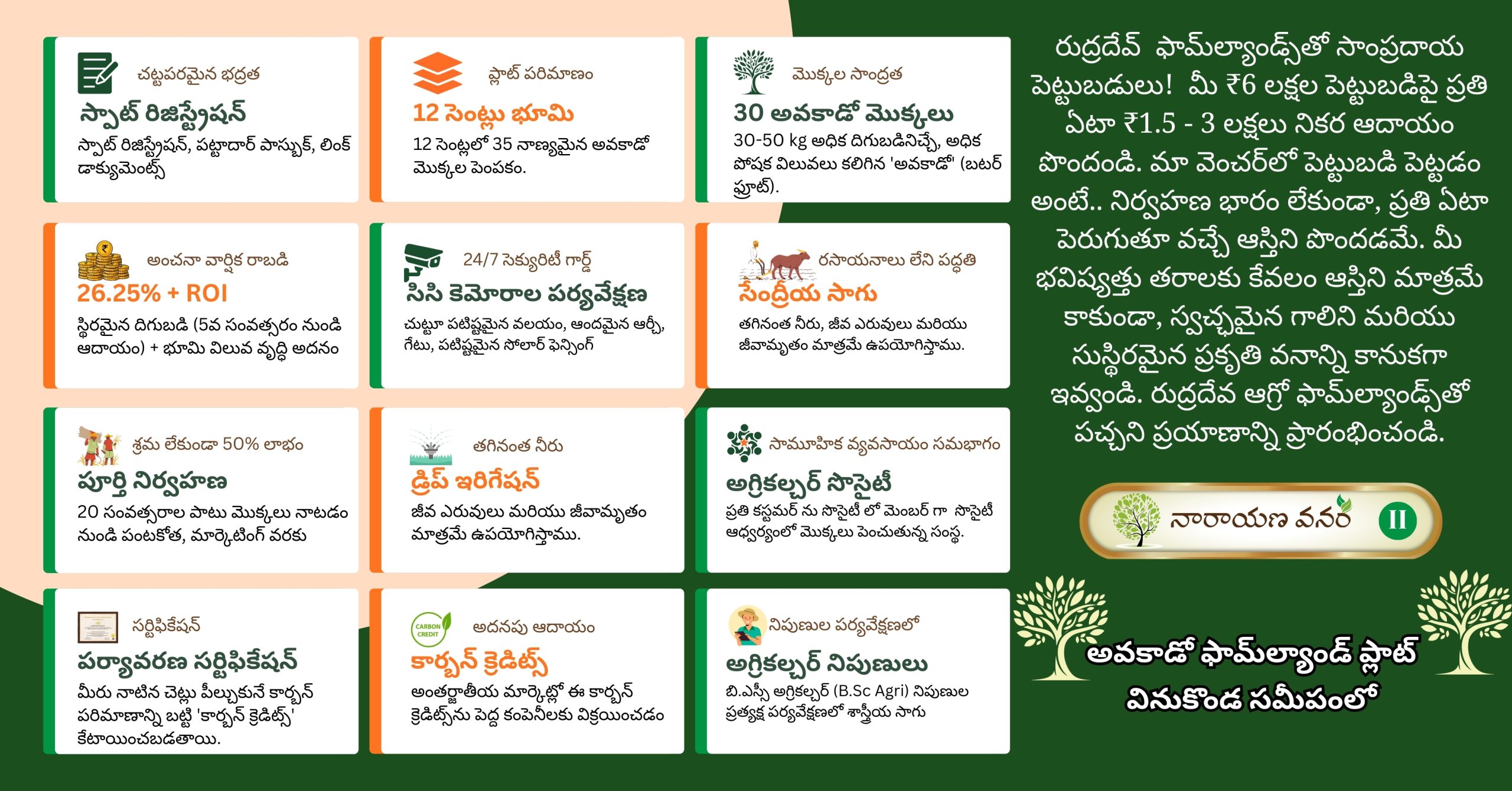 Avocado Farm Land Investment Near Vinukonda