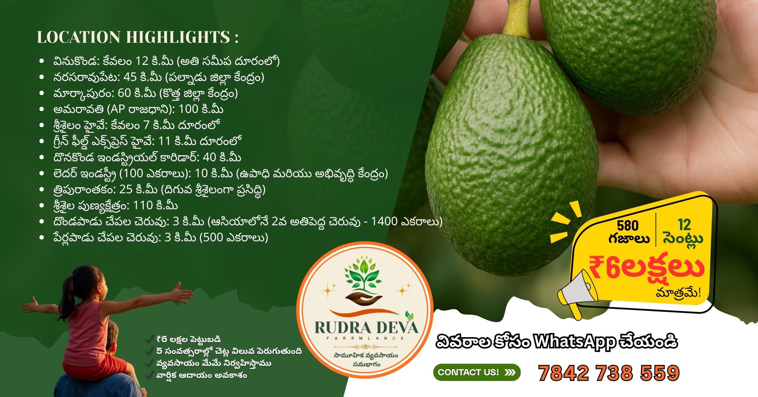 Avocado Farm Land Investment Near Vinukonda