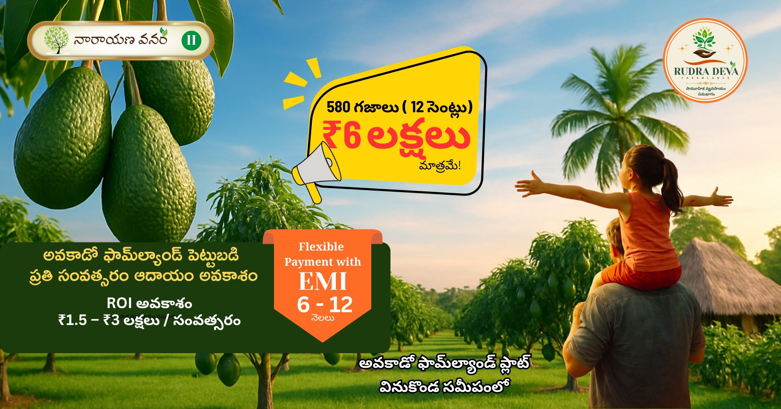 Avocado Farm Land Investment Near Vinukonda